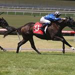 Sandown double Sandown double